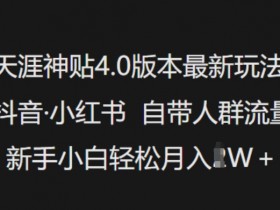 天涯神贴4.0赚钱攻略：抖音小红书引流秘籍，新手轻松月入过万-54创业网