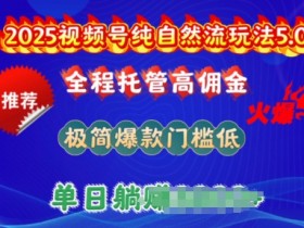 2025视频号纯自然流玩法5.0揭秘：全程托管高佣金，极简爆款单日多张收益-54创业网