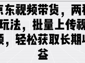 京东视频带货赚钱攻略：2种批量上传玩法，轻松赚取长期收益-54创业网