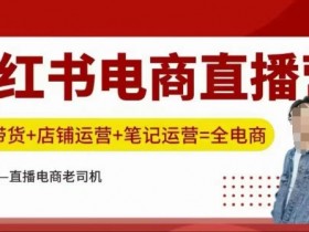 小红书直播带货培训：电商直播+店铺运营+笔记涨粉实战技巧-54创业网