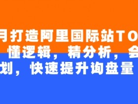 4个月打造阿里国际站TOP店铺：3招提升询盘量，懂逻辑会规划-54创业网