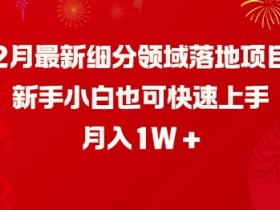 2月最新细分领域赚钱项目：新手小白轻松上手，月入1W实操教程-54创业网