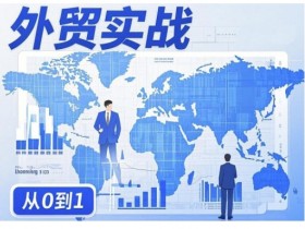 外贸询盘增长秘籍：0基础实战指南，快速提升外贸业务能力-54创业网