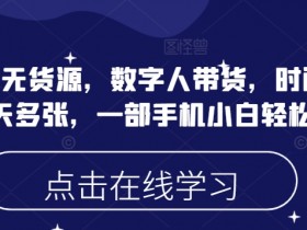 蝴蝶号无货源带货：数字人直播时间自由，一部手机日入多张，新手小白轻松上手-54创业网