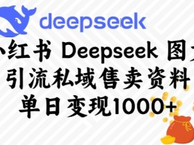 小红书Deepseek引流秘籍：单日变现多张的私域售卖资料攻略-54创业网