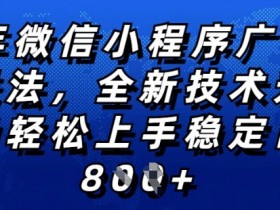 2025微信小程序赚钱新玩法：纯小白轻松上手，日入多张技术升级全网首发揭秘-54创业网