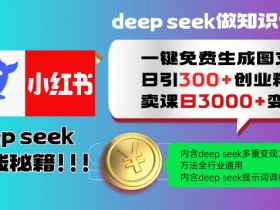 小红书创业粉暴增秘籍：日引300+免费图文教程，全行业通用变现法！-54创业网