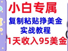 复制粘贴赚钱：0门槛日赚95美金，3分钟学会内部教程(首次公开)-54创业网