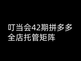 拼多多全店托管矩阵：叮当会42期高阶技术打爆班-54创业网