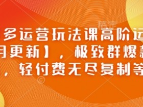 拼多多高阶运营课：2月爆款群玩法，轻付费无限复制技巧-54创业网