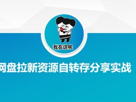 百度网盘拉新攻略：自动转存资源分享技巧大公开-54创业网