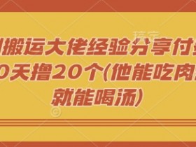 短剧搬运赚钱：20天撸20个付费短剧实操分享(新手也能喝汤)-54创业网
