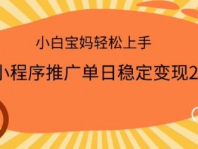 2025小程序推广单日变现多张：手机操作小白宝妈轻松上手-54创业网