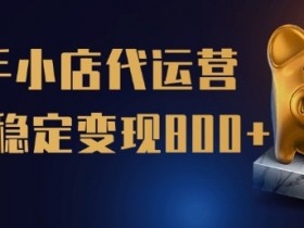 快手小店代运营限时托管：单日稳定变现5张，全程喂饭式服务揭秘-54创业网