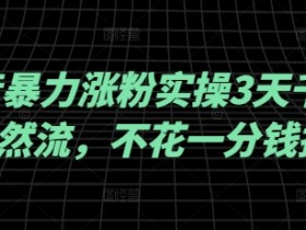 抖音涨粉秘籍：3天千粉自然流实战，不花钱投流暴力涨粉技巧-54创业网
