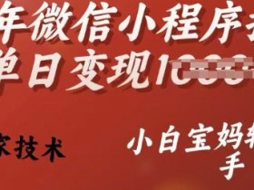 微信小程序推广变现秘籍：25年独家技术，宝妈小白轻松日赚多单-54创业网