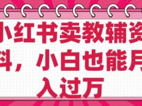 0成本卖教辅资料小红书：小白月入过W秘籍，售后无忧纯利润-54创业网