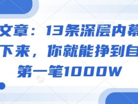付费文章：13条挣1000W的深层内幕，背熟就能赚第一桶金-54创业网
