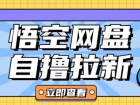 悟空网盘云真机拉新项目：单机日赚10-20元，全网首发玩法-54创业网
