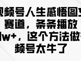 视频号人生感悟10w+爆款秘籍：图文赛道轻松涨粉，这方法太牛了！-54创业网