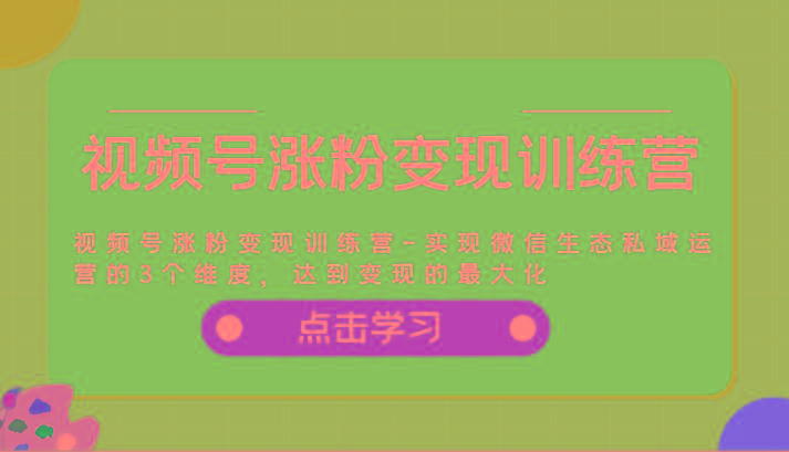 视频号涨粉变现训练营：3个维度玩转微信私域运营，快速变现赚钱-54创业网