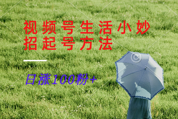 视频号生活小妙招：日涨100粉的起号涨粉新方法-54创业网