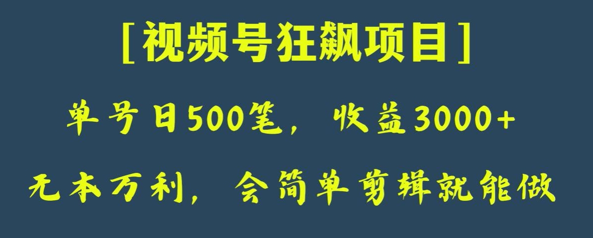 视频号狂飙项目：日收款500笔纯利3000+，会剪视频就能做【揭秘】-54创业网