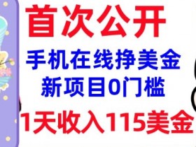 0门槛在线挣美金：1天赚115刀被动收入新项目，无脑操作-54创业网