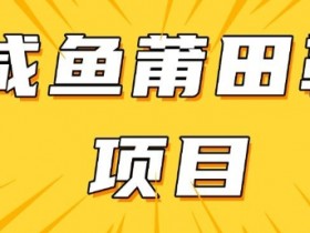 闲鱼高转化项目：日入300+详细教程，手把手教你找货源赚钱-54创业网
