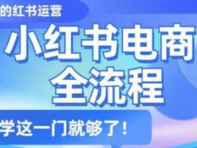 小红书电商运营全流程：零基础入门到精通，一篇搞定-54创业网
