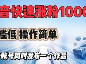 抖音涨粉1000+秘籍：0门槛多账号同步发布，快速吸粉操作超简单-54创业网