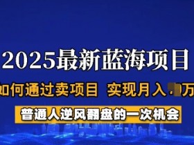 2025蓝海项目揭秘：普通人如何卖项目轻松月入过W？全程实操分享-54创业网