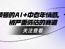 视频号AI+中老年情感赛道：被严重低估的赚钱蓝海-54创业网