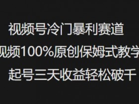 视频号冷门暴利赛道：3天起号原创教程，轻松破千收益保姆教学-54创业网