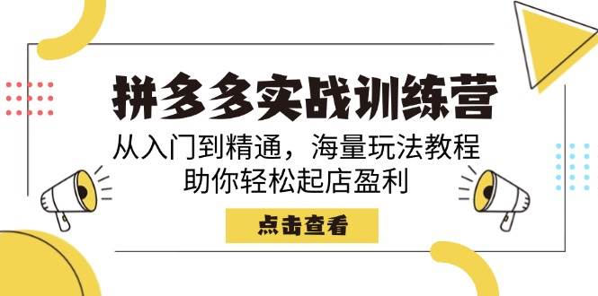 拼多多实战训练营：从入门到精通玩转拼多多，海量运营技巧助你快速起店赚钱-54创业网