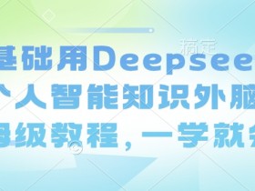 零基础Deepseek搭建智能知识外脑：保姆级教程一学就会-54创业网