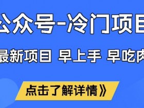 冷门公众号赛道揭秘：单月稳定变现1W+，早上手早赚钱！-54创业网