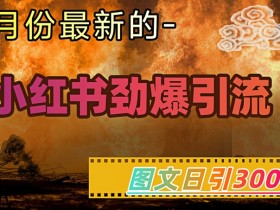 小红书引流秘籍：图文日引300+流量，轻松变现月入1W-54创业网