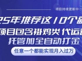 2024最赚钱的10个副业推荐：褂鸡、代运营、全自动打金项目大揭秘-54创业网