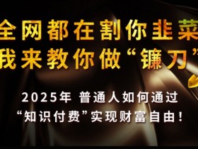 2025知识付费赚钱秘籍：普通人如何实现财F自由，不做韭菜当镰刀-54创业网