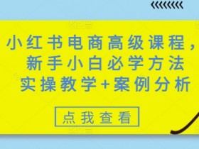 小红书电商运营课程：新手必学实操技巧+爆款案例解析-54创业网