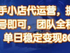 快手小店代运营：账号托管单日变现8单，团队操盘稳定赚钱秘籍-54创业网