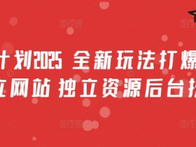 2025男粉计划：全新玩法打爆流量，独立网站+资源后台扶持揭秘-54创业网