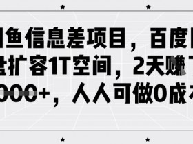 百度网盘扩容1T空间：闲鱼0成本项目，2天赚1k+，新手也能做-54创业网