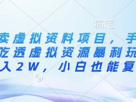 闲鱼虚拟资料项目：手把手教你暴利玩法，月入2W小白可复制-54创业网