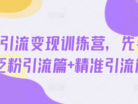 热点引流变现训练营：3步学会泛粉精准引流赚钱-54创业网
