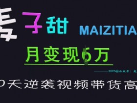 麦子甜30天带货变现6W：视频带货高手速成特训营-54创业网