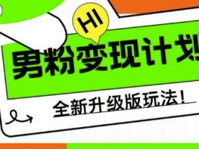男粉变现计划：小白宝妈日入500+的升级玩法大揭秘-54创业网