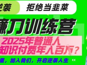 25年知识付费赚钱秘籍：普通人如何年入百万？网创项目终点站揭秘-54创业网