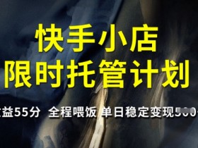 快手小店托管计划收益55分：单日稳定变现5张，全程喂饭式教学【限时】-54创业网